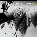 揽星河与共