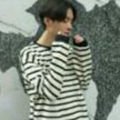 卷王Roy