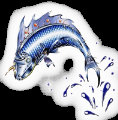 遇厨