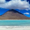 猪头LZZ