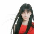 涛圣是狗吗