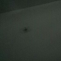 我良辰不想骂你