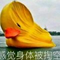 叫我废物