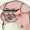土色菜犬