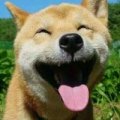 Aimer丶二狗