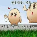 lao范8