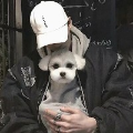 白鲨家隔壁的老徐