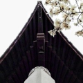 菜还爱玩的阿正