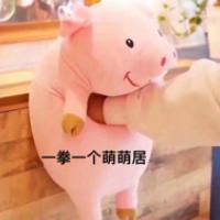 我们一起学土拨鼠叫