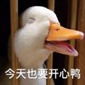 李小luan