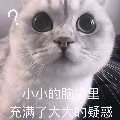 烟消玉陨
