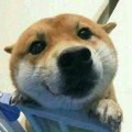 谭大开