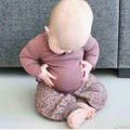 豆豆鹅