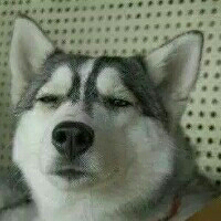血染小变态丿