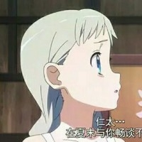 愛(ài)芽衣子真是太好了了