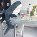 仙门看门弟子