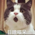 套你猴子0856