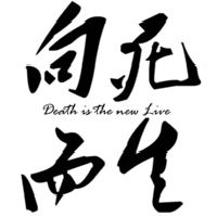 向死而生布鲁膜