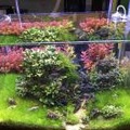 YJ好多魚
