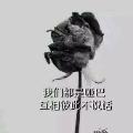 文尧尧尧尧尧