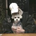 凌云CS2比赛
