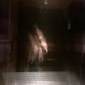 就整一下