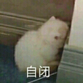 EC酱丶