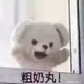 SHi1iU