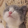 蓝蓝的小时候