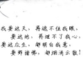 洛花鸭