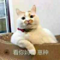 d二三