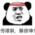 Just拳总