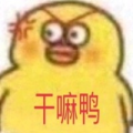 小谜心mx