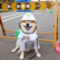 东风路战神