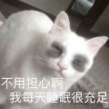 月半口达panda