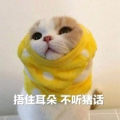 爱听北酱弹钢琴