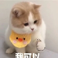 神坠落