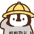 龙太ZJX