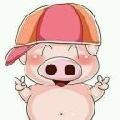 sunny愚子