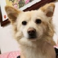 杰瑞大爹牛逼