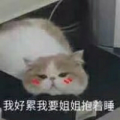 胖胖胖胖胖胖胖胖酱