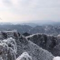 每天都在菜鸡互啄