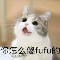 明月清风327084