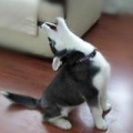 小乖乖唷