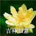 奋斗中的kiki