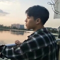皮总捶圈狗