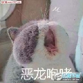 小尼姑呀