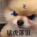 洛希呦