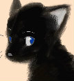 if0sewP12NE