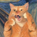 胖橘猫i